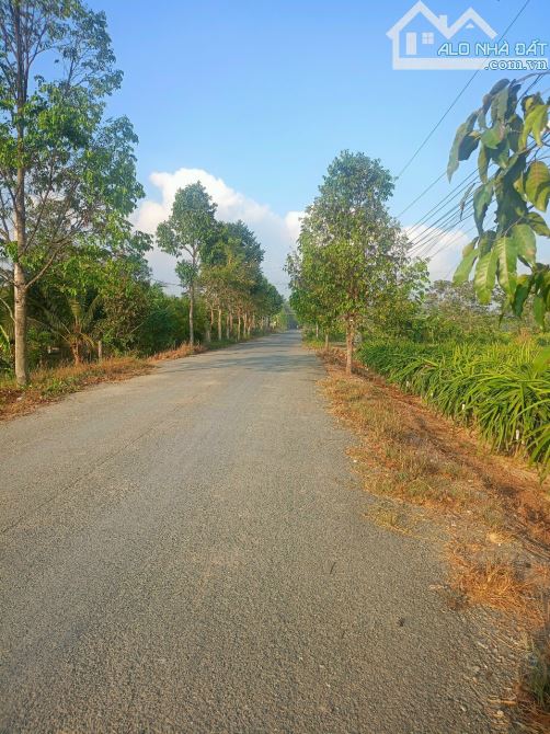 Đất Mt đường Lê Văn Cảng (cách vành đai 800 m), xã An Vĩnh Ngãi, TP Tân An