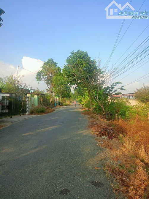 Đất Mt đường Lê Văn Cảng (cách vành đai 800 m), xã An Vĩnh Ngãi, TP Tân An - 1