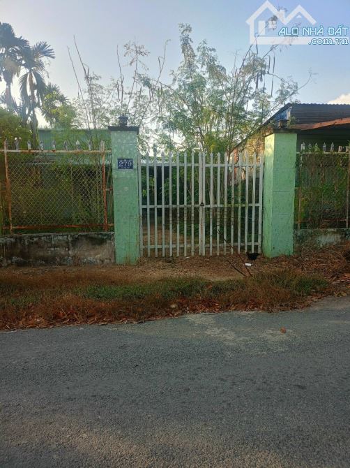 Đất Mt đường Lê Văn Cảng (cách vành đai 800 m), xã An Vĩnh Ngãi, TP Tân An - 2