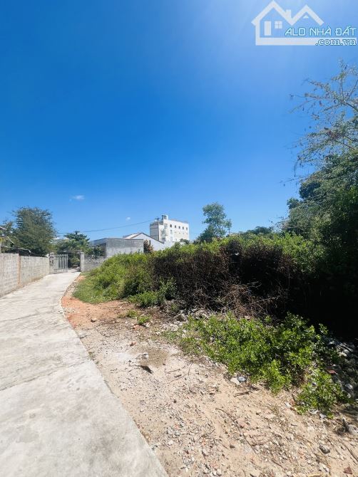 Bán 1600m2 đất hẻm ô tô cách đường chính Nguyễn Hội 100m phường Phú Tài Phan Thiết 19.5 tỷ - 4