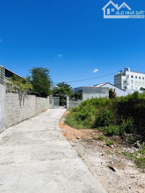 Bán 1600m2 đất hẻm ô tô cách đường chính Nguyễn Hội 100m phường Phú Tài Phan Thiết 19.5 tỷ - 5