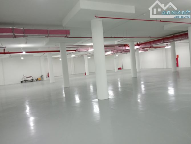 CHUYỂN NHƯỢNG 100% CPCTY  và TS TẠI LONG BIÊN. HN