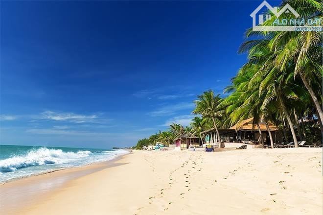 CƠ HỘI SỞ HỮU NỀN ĐẤT KDL MŨI NÉ PHAN THIẾT VỚI GIÁ RẺ NHẤT THỊ TRƯỜNG CHỈ 800TR