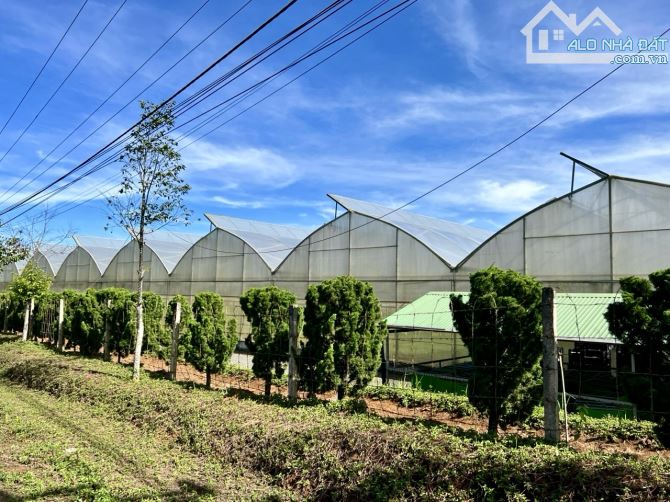 ✨ GIẢM SẬP SÀN - 7x48m (70m2 ONT), ngay hồ Phúc Hưng & Phúc Thọ, gần Dalat Hasfarm - 689Tr - 3