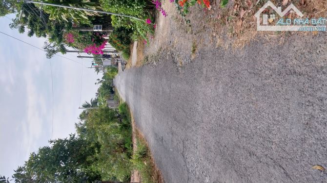 Bán đất lộ nhựa nguyệt hóa cách cầu sóc thát 150m - 1