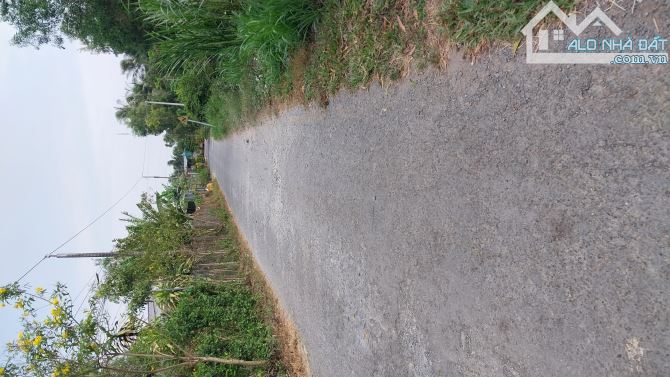 Bán đất lộ nhựa nguyệt hóa cách cầu sóc thát 150m - 2