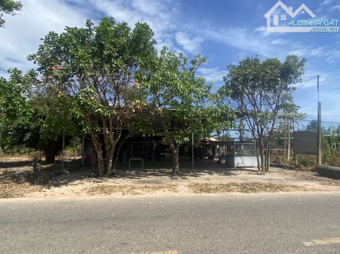 🔵13.08x45(613,5m2) Nguyễn Minh Châu Tân Tiến Lagi Gần Biển Giá Ngộp - 3