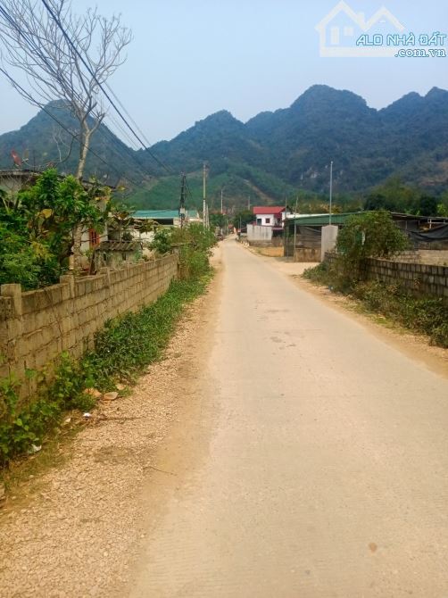 🏠 1576m View Cánh Đồng Siêu Đẹp - Bám 22m Đường Bê Tông - View Sông  🕌 - 1