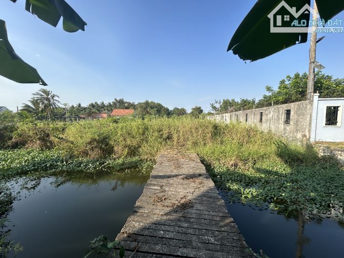 ✅ Đất mặt tiền đường Nguyễn Thị Chữ- cách đường Vành Đai 60m - 20 x 62 - 3 tỷ 500 triệu. - 3