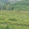 Cần bán lô đất rừng sản xuất thuộc thôn Đồng Sim , huyện Tây Sơn - DT 40.000m2