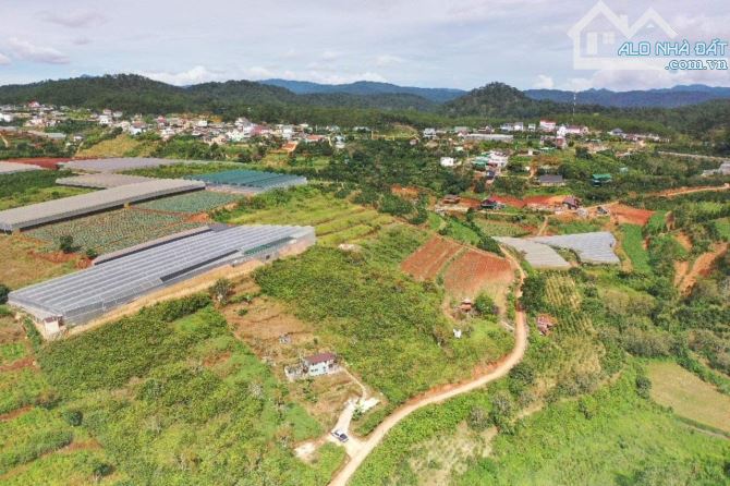 2500m2 đất nông nghiệp thế dương, view cao thoáng tại Xuân Thọ- Đà Lạt