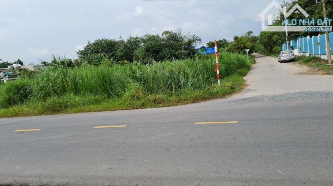 Bán lô đất 2 mặt tiền đường Nguyễn Thị Nê, 1.252m2, 300m2 thổ cư, xã Phú Hòa Đông, Củ Chi - 2