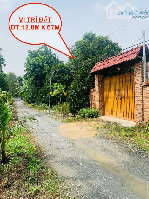 Đất Vườn P. An Thạnh TP. Thuận An DT: 12,8m x 57m sổ riêng bao sang tên. - 2
