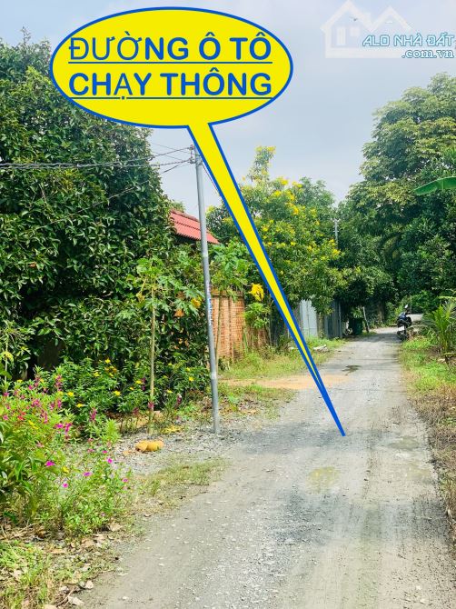 Đất Vườn P. An Thạnh TP. Thuận An DT: 12,8m x 57m sổ riêng bao sang tên. - 3