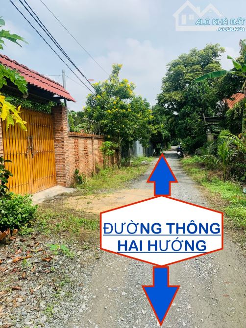 Đất Vườn P. An Thạnh TP. Thuận An DT: 12,8m x 57m sổ riêng bao sang tên. - 4