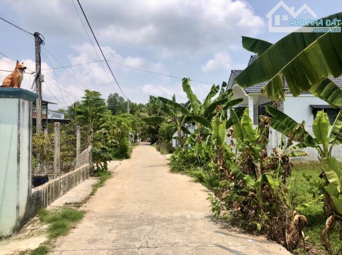 ✨ Vị trí đẹp nhất nhì Gò Dầu, 5x25m (Thổ Cư hết đất), đường Bê Tông, KDC san sát - 679 Tr