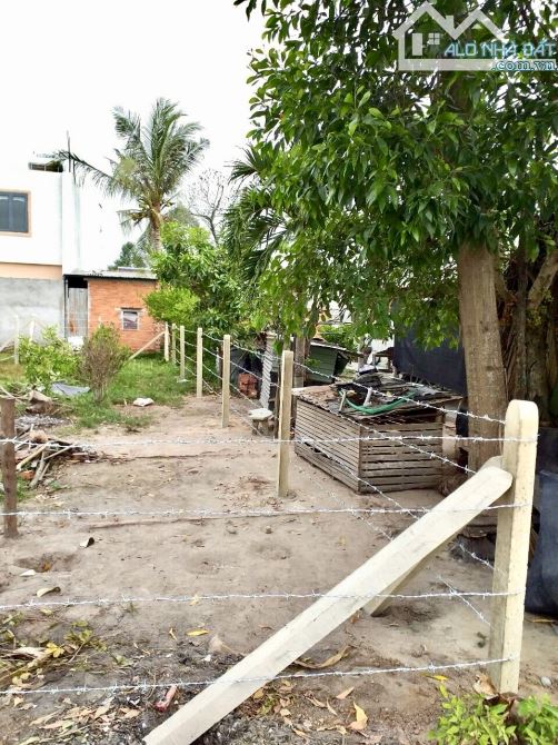 ✨ Vị trí đẹp nhất nhì Gò Dầu, 5x25m (Thổ Cư hết đất), đường Bê Tông, KDC san sát - 679 Tr - 2
