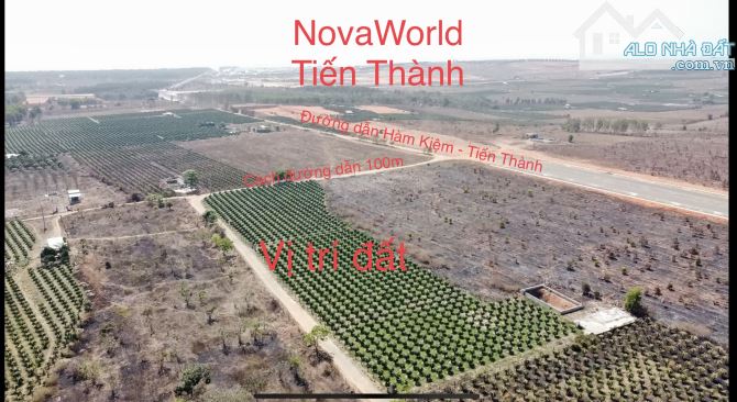 💥Bán đất đường dẫn cao tốc Hàm Kiệm về NovaWorld Tiến Thành - TP Phan Thiết - 5