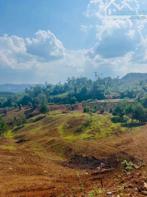 Lô đất hơn 3 hecta giá chỉ 480 triệu trọn sổ, hợp trồng cà phê, macca, Đắk Hà, Kontum