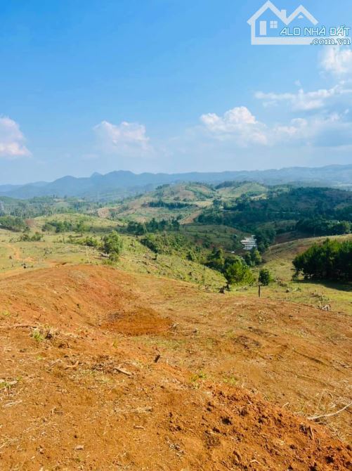 Lô đất hơn 3 hecta giá chỉ 480 triệu trọn sổ, hợp trồng cà phê, macca, Đắk Hà, Kontum - 1