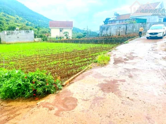 Hạ giá bán đất khu dân cư xã Hiệp An, sổ riêng thổ cư, đường xe hơi gần Quốc Lộ 20
