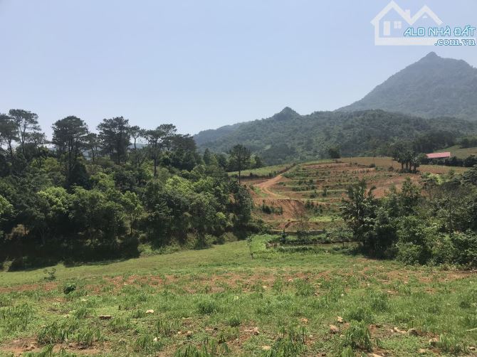 LÔ ĐẤT 5121M2, VIEW RỪNG THÔNG NÚI TẢN, GIÁ HƠN 1TR/M, BA VÌ, HÀ NỘI