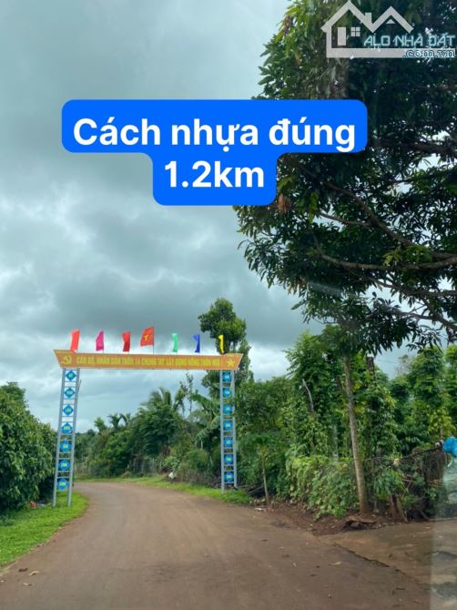 📣9100m2 thực tế 13.000m2 Chỉ 1 tỉ - 2