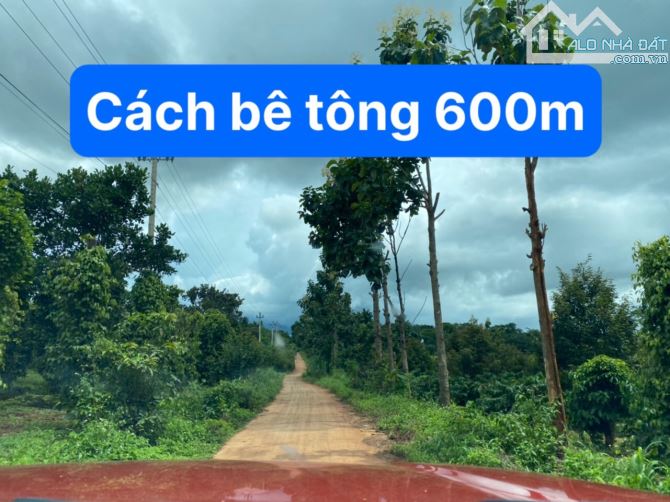 📣9100m2 thực tế 13.000m2 Chỉ 1 tỉ - 3