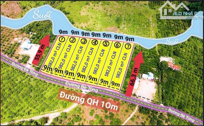 129 triệu có ngay lô đất mặt tiền đường betong tại Đắk Lắk, sẵn vườn cà phê thu hoạch mạnh - 3