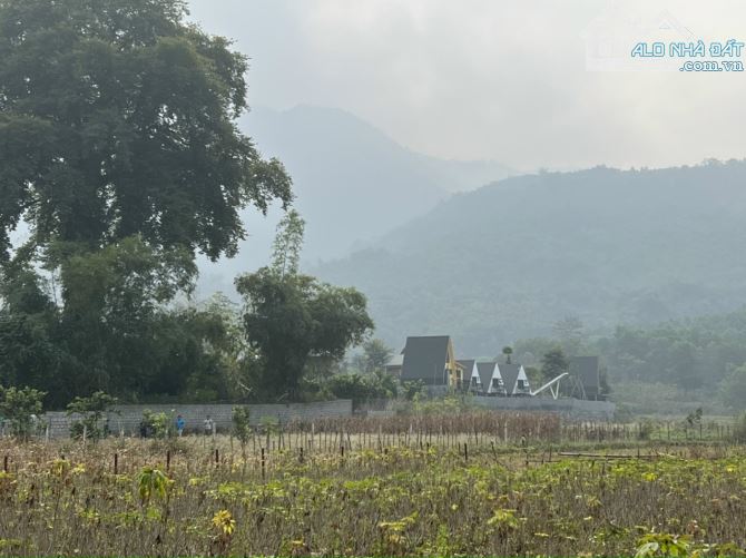 Bán nhanh lô đất 1300m 100m thông cư view cánh đồng thơ mộng - 5