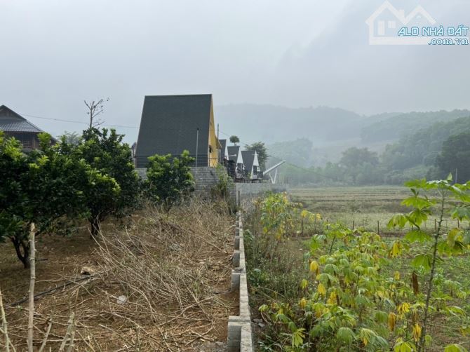 Bán nhanh lô đất 1300m 100m thông cư view cánh đồng thơ mộng - 6