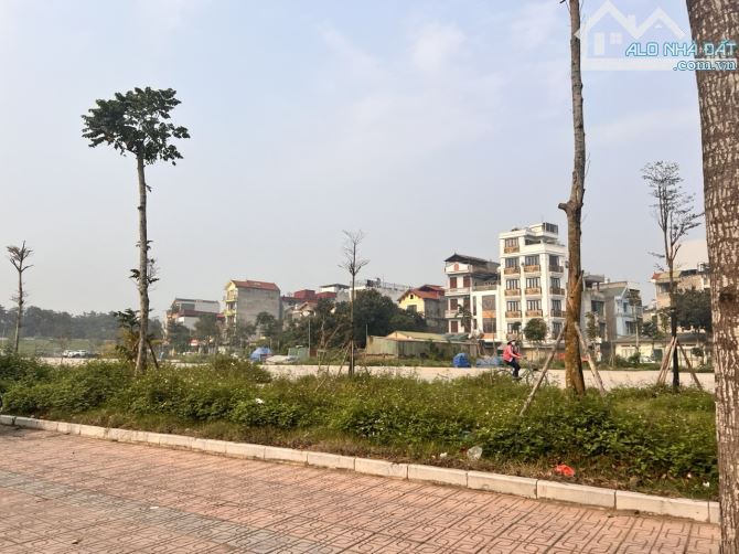 Bán đất đấu giá Tư Đình, Long Biên 136m2, MT 4,5M, VỈA HÈ, Ô TÔ TRÁNH, KINH DOANH , ĐẦU TƯ