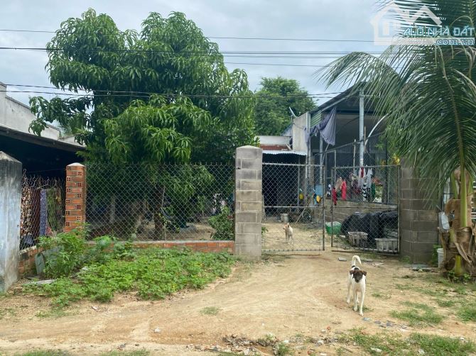 Bán Đất giá đầu tư khu bàn cờ Nghĩa Phú, Cam Nghĩa, Cam Ranh, Khánh Hòa. - 1