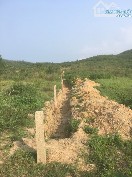 Đất rừng sản xuất Ninh Sơn, bao đẹp, giá lại cắt bán lỗ - 1
