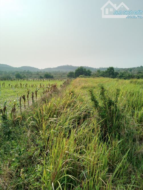 Đất rừng sản xuất Ninh Sơn, bao đẹp, giá lại cắt bán lỗ - 3