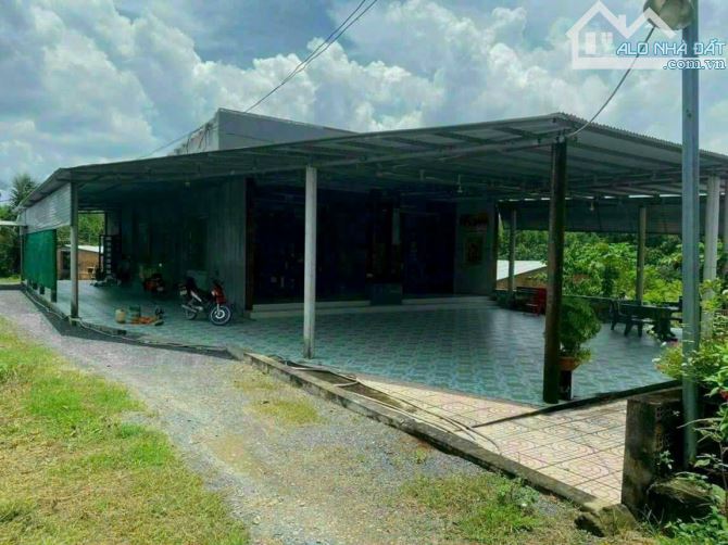 cần bán gấp 1,5 ha  đất ngộp tại bắc tân uyên giá chỉ 13,5 tỷ