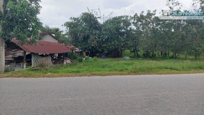 Cần bán lô đất MT đường nhựa Võ Thị Bàng 2 xe cont tránh nhau, dt 685,5m, có 60m thổ cư. - 5