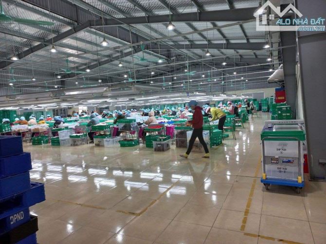 CHỦ BÁN NHÀ XƯỞNG THỊ TRẤN RẠNG ĐÔNG - 23.000m2 - Giá 36Tỷ. - 4
