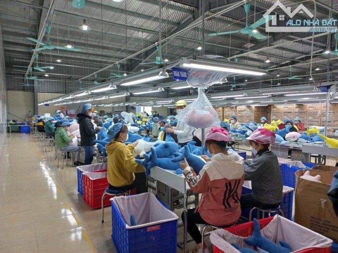 CHỦ BÁN NHÀ XƯỞNG THỊ TRẤN RẠNG ĐÔNG - 23.000m2 - Giá 36Tỷ. - 6