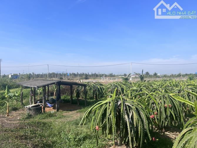 🌳 ĐẤT VƯỜN THANH LONG 2 MẶT TIỀN ĐƯỜNG GẦN LỐI RA CAO TỐC DẦU GIÂY - PHAN THIẾT - 5