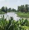 Đất vườn view kênh lớn, đường 251 Tân Thạnh Đông, Củ Chi, 3276m2 (34x84m) phù hợp nhà vườn