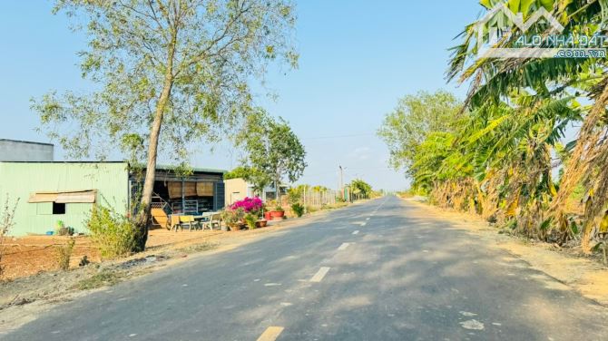 Chủ gửi bán lô đất láng dài : đất đỏ  BRVT  Dt 243 m2 10 x23 tc 100 m2  cách trợ -trường