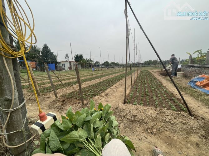 Bán đất nông nghiệp Tràng Cát, Hải An, Hải Phòng 4.000m