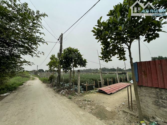 Bán đất nông nghiệp Tràng Cát, Hải An, Hải Phòng 4.000m - 3