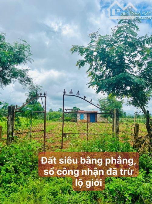 Đất thổ cư full 100% tại Ea Puk - Krông Năng 275 triệu - 5