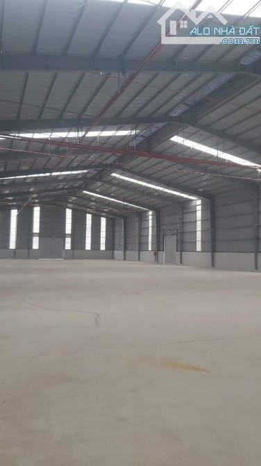 Cho thuê kho 1000m2 pháp lý đầy đủ phường Thuận Giao, Tp Thuận An, Bình Dương - 1