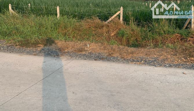 Bán lô đất MT đường Bê tông xe tải hẻm Nguyễn Thị Nê, dt 545m, full thổ, xã Phú Hòa Đông - 1