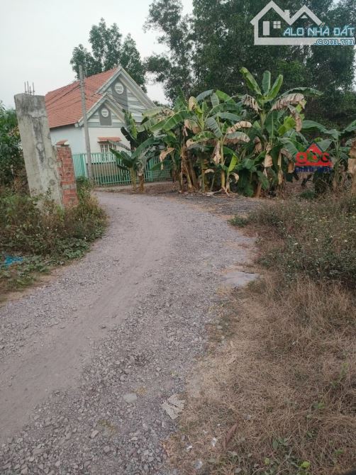 Bán đất phường Phước Tân biên hòa đồng Nai - 2