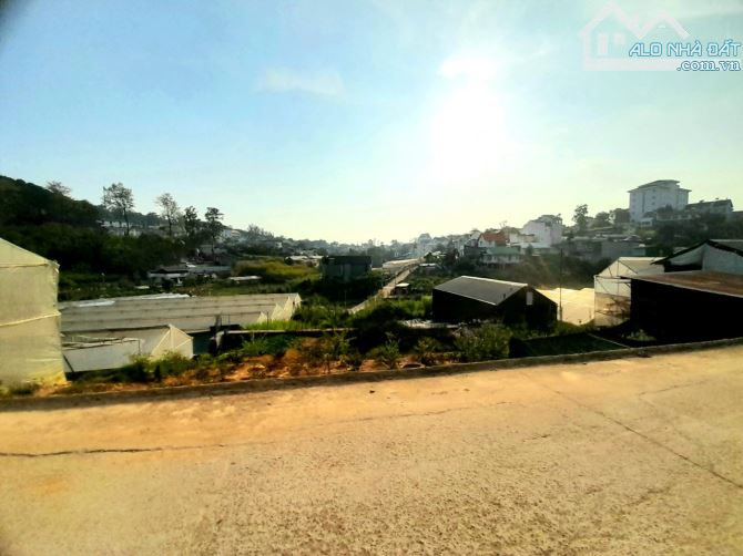 Bán gấp đất view đồi thông 2 mặt tiền trung tâm Đà Lạt, đi Hô Xuân Hương hơn 2km - 2