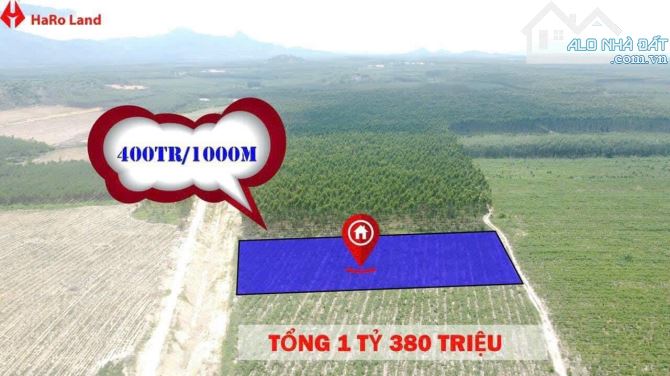 🔥HOT 1,1 Tỷ sở hữu 3.400m2 đường rộng 10m có 3 mặt tiền Tân Bình, LaGi, Bình Thuận - 3